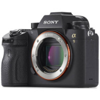 Câmera Sony Alpha a9 Mirrorless (Corpo)