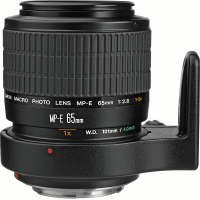 Lente Canon MP-E 65mm f/2.8 1-5x Macro