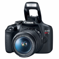 Câmera Digital Canon EOS Rebel T7+, Ef-s 18-55mm + EF 50mm f/1.8 Stm