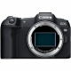 Câmera Canon EOS R8 Mirrorless RF 24-50mm f/4.5-6.3 IS STM