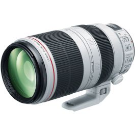 Lente Canon EF 100-400MM f/4.5-5.6 L IS II USM